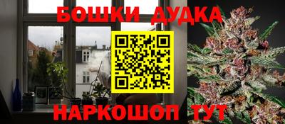 скорость Дубна
